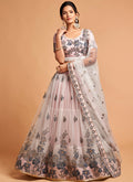 Baby Pink Embroidered Designer Lehenga Choli