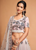 Buy Designer Lehenga Choli