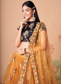 Buy Lehenga Choli