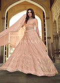 Buy Traditional Lehenga