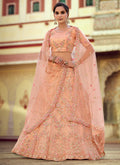 Peach Sequence And Dori Embellished Lehenga Choli