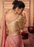 Buy Partywear Saree 