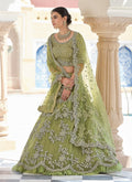 Green Lehenga Choli