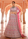 Blush Pink Multi Zari Embroidered Crape Lehenga Choli