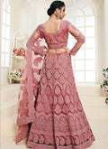 Blush Pink Pearl Embroidered Wedding Lehenga Choli