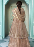 Light Brown Anarkali Style Lehenga Suit In usa uk canada