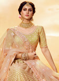 Indian Clothes - Golden Peach Wedding Lehenga Choli
