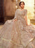 Indian Clothes - Light Brown Wedding Lehenga Choli