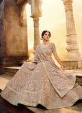 Indian Lehanga - Light Brown Wedding Lehenga Choli In usa uk canada