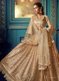 Indian Clothes - Golden Beige Indo Western Lehenga Choli