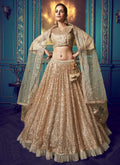 Golden Beige Indo Western Lehenga Choli