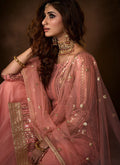 Indian Clothes - Peach Traditional Embroidered Gharara Suit