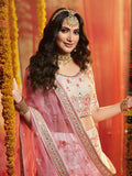 Indian Clothes - Baby Pink Multi Embroidered Designer Lehenga Choli