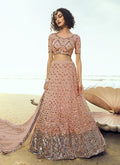 Peach Sequence Embroidered Lehenga Choli