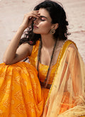 Mustard Yellow Lehenga Choli