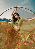 Olive Green Lehenga Choli