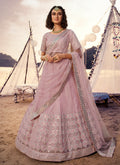 Baby Pink Embroidered Lehenga Choli