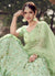 Light Green Lehenga Choli In usa