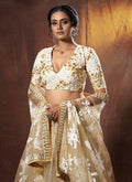 Beige Golden Lehenga Choli In usa uk canada