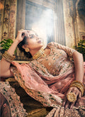 Light Brown Multi Embroidered Wedding Lehenga Choli, Salwar kameez