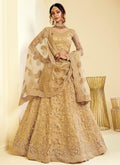 Beige Golden Pearl Embroidered Wedding Lehenga Choli