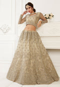 Golden Beige Lehenga Choli In usa uk canada