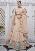 Soft Peach Lehenga Choli In usa uk canada