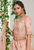 Baby Pink Lehenga Choli In usa