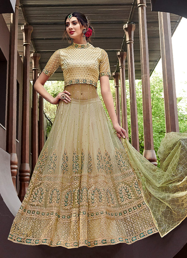 Light Green Overall Designer Anarkali Gown