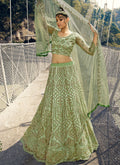 Pista Green And Golden Lehenga Choli In Germany