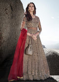 Golden Anarkali Lehenga Suit