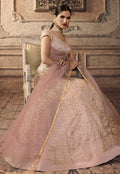 Festive Lehenga Choli Set
