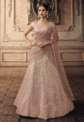 Festive Lehenga Choli Set