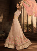 Embroidered Lehenga Choli Set