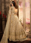 Embroidered Lehenga Choli Set