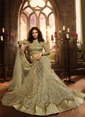 Embroidered Lehenga Choli Set