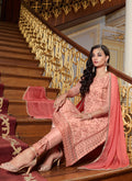 Peach Embroidery Pakistani Pant Suit In usa