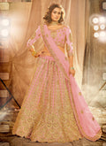 Light Pink Golden Embroidered Wedding Lehenga Choli 