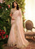 Bridal Saree With Blouse