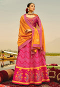 Pink Multi Coloured Lehenga Choli