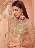 Beige Embroidered Designer Lehenga Choli  IN CANADA