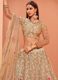 Beige Embroidered Lehenga Choli  IN CANADA