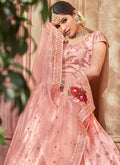 Blush Pink With Butta Embroidered Flared Lehenga Choli Set