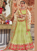 Mint Green With Floral Embroidered Flared Lehenga Choli Set