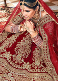Red Bridal Velvet Hand Embroidered Lehenga Choli