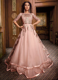 Pndian Clothes - Baby Pink Embroidered Layered Indo Western Gown
